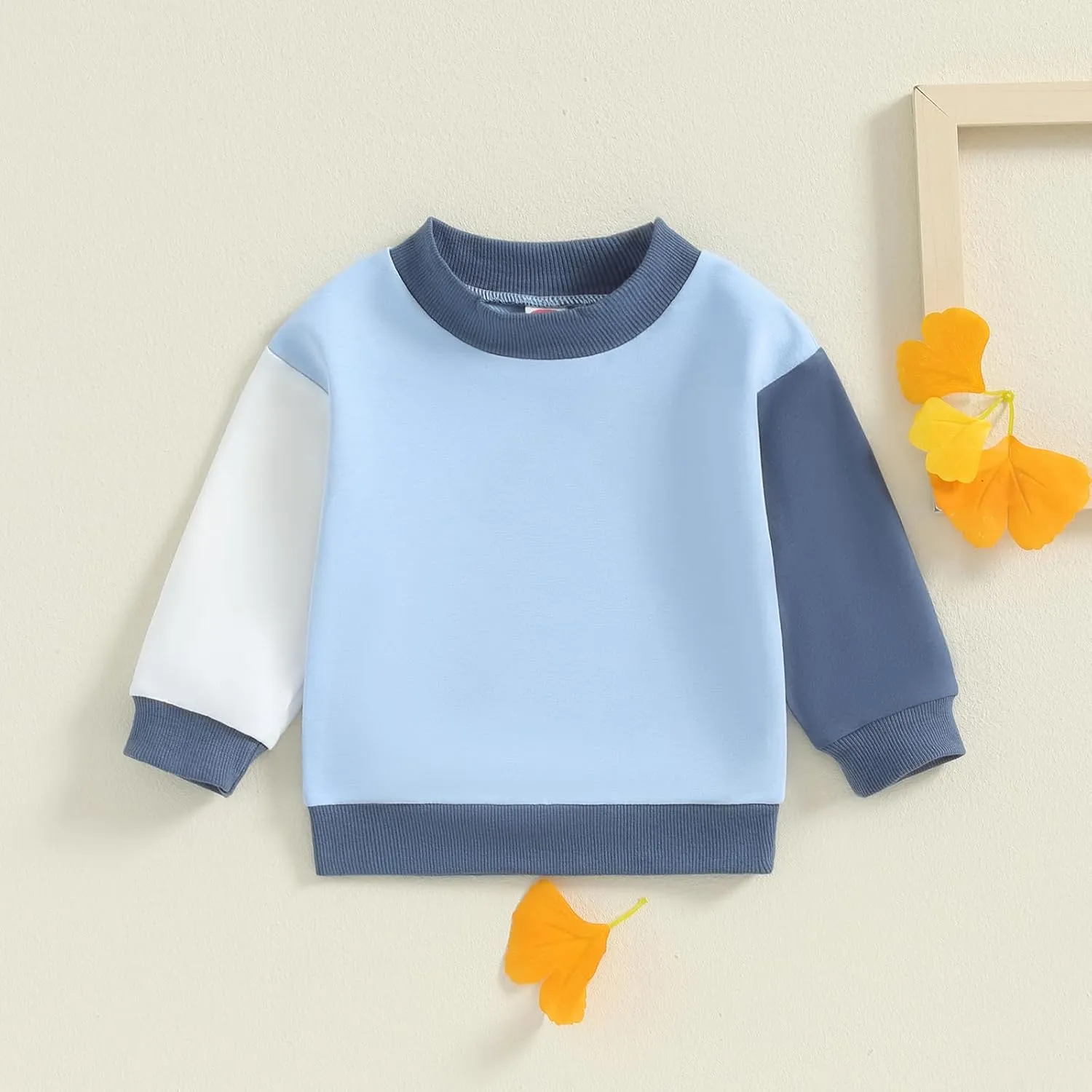 Toddler Baby Girl Boy Sweatshirt Color Block Long Sleeve Oversized Crewneck Pullover Tops Fall Winter Outfits