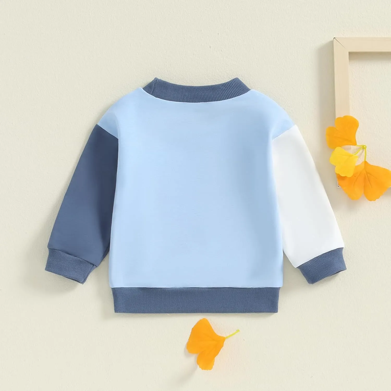 Toddler Baby Girl Boy Sweatshirt Color Block Long Sleeve Oversized Crewneck Pullover Tops Fall Winter Outfits
